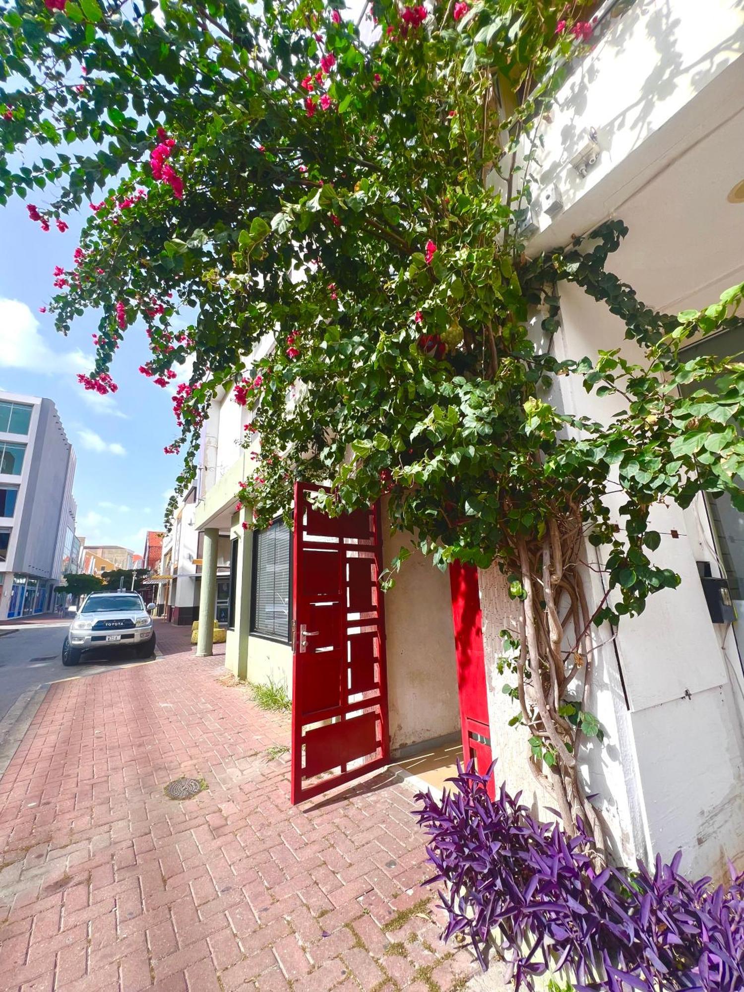 Dushi Apartments Willemstad Extérieur photo